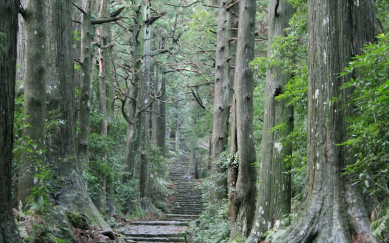 熊野古道